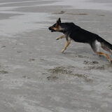... lopen
