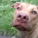 Lieve ,lieve,lieve Ghetto.