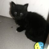 onze nieuwe aanwinst