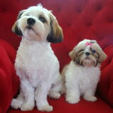 Sammy & Deva