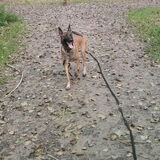 Foto van Hope & Rambo