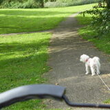 10-09-2011 Yup yup lekker weg, het park in