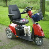 10-09-2011 Chicka en scootmobiel in het park