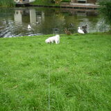 10-09-2011 Bij de vijverrrrrrrrrrrrrrr, en ik heb geen belangstelling…