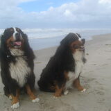 Cay en Cooper.