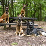 Foto van De Mecheltjes clan