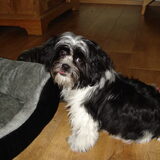 Foto van Helma en Balou