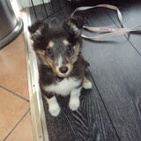 Kijk is hoe lief ik ben!