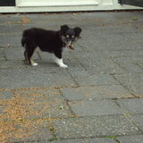 Met blaadjes spelen vind ik ook leuk!