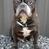 Deze foto vandaag gemaakt 11 september want spike is morgen jarig en…