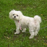 11-09-2011 CHICKA I LOVE YOU
