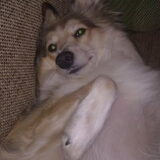 chillen
