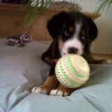 Flip met zn balletje :D