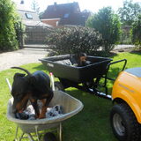 Foto van Marleen , Blacky & Justy