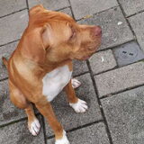 hier was hij 5 maanden