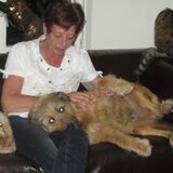 Foto van liesbeth,Turbo,Luna, Levi en Faith
