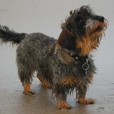 Foto van Greetje & Odie