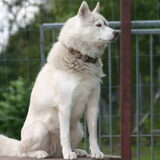 Kaya 5jaar