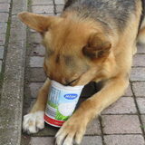 Ze is de restjes van de yoghurt aan het uitlekken, en ze vond het super…