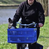 Blitz toen hij jong was hihi in de fietsmand