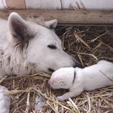 Charlie met moeder Steffi