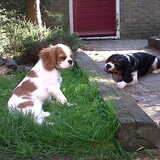 Femke en Arko