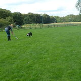 Tess de hockeyhond ;-)