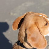 Foto van Keiko Claassen