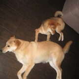 Foto van Sandy & Tom