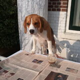 Foto van Keiko Claassen