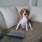 Af en toe surf ik wat op het internet...