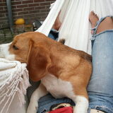 Foto van Keiko Claassen