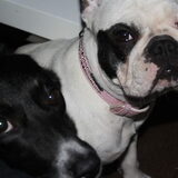 Chicka&Lady