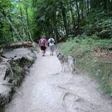 Kroatie, Nationaal park Plitvice meren.