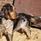 Joep op de boerderij