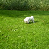 16-09-2011 Chicka