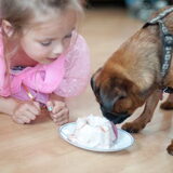 Skip 1 jaar