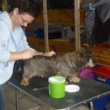 Foto van Greetje & Odie