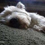 ZZZZZZZZZZZZZZZZZ