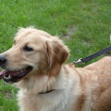 Foto van Jack en Dais