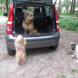 Luna wil ook graag de auto in vooral zijn grote vriend er al inzit.