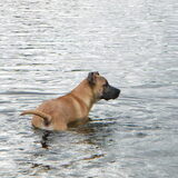 Voor het eerst t water in