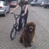 De eerste keer steppen met Fedor :)