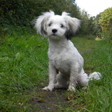 Foto van Melissa, Dempsey, Taiko, Minos & *Nina*