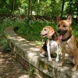Kyra en Lizzy