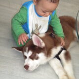 Neefje met Damion als pup