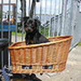 achterop de fiets