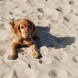 Op het strand
