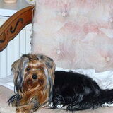 Hier is Kayla 15 maand oud is het geen schatje?