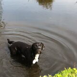 Foto van Moos!